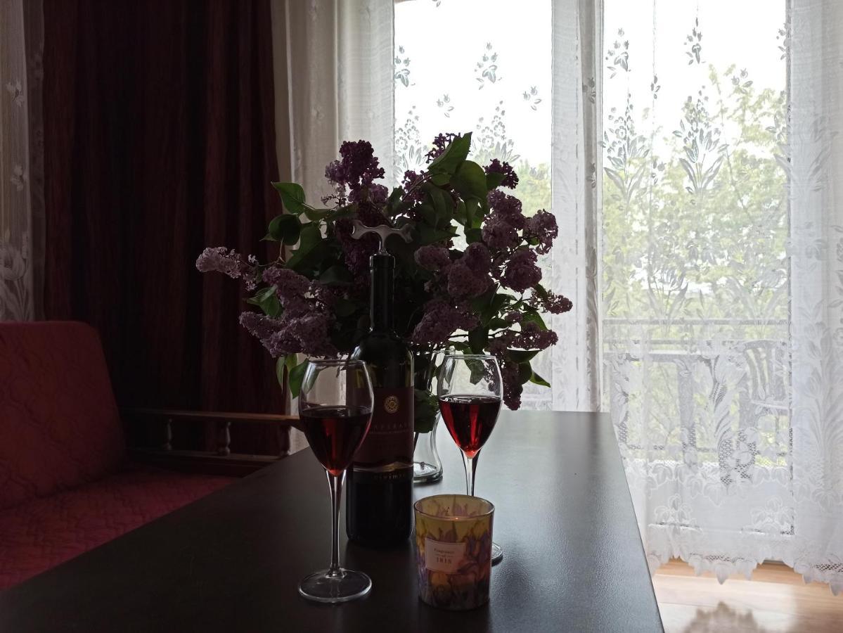 Apartament-Studio, Pokoje U Lucy Rabka Luaran gambar