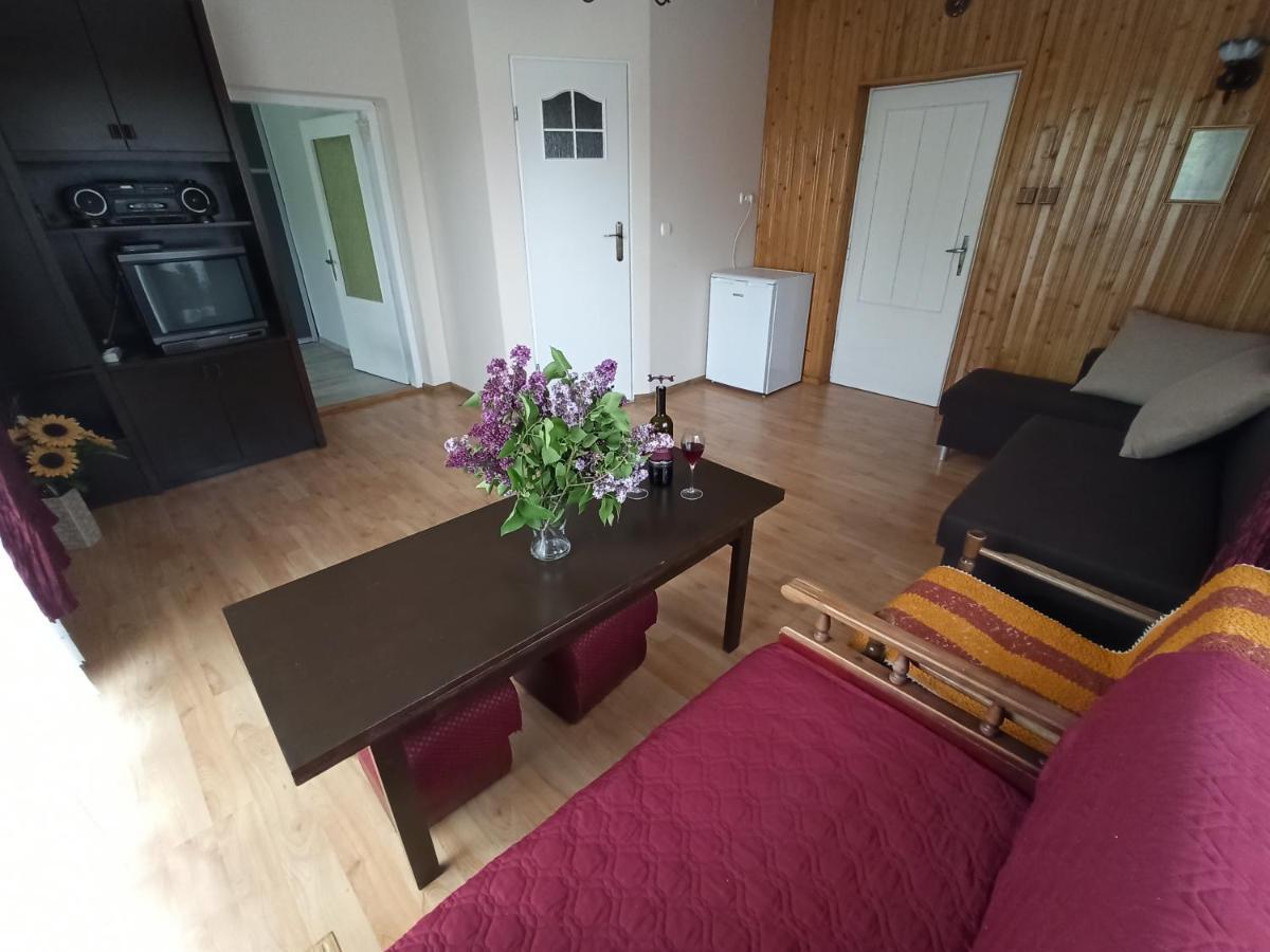 Apartament-Studio, Pokoje U Lucy Rabka Luaran gambar